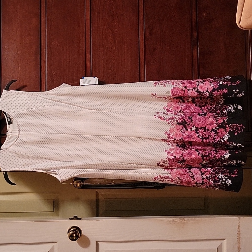 Anne Klein Sleeveless Ivory/Multi Dress Size XL